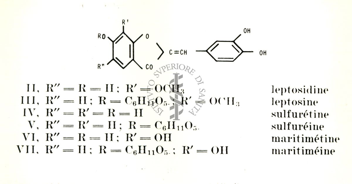 Chimica delle autoxantine