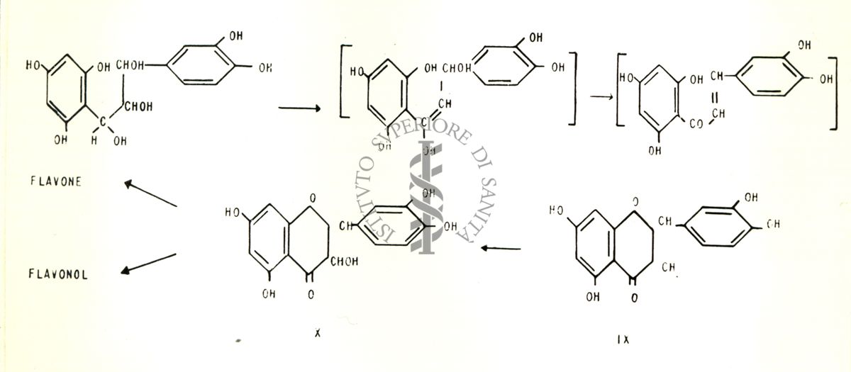 Chimica delle autoxantine