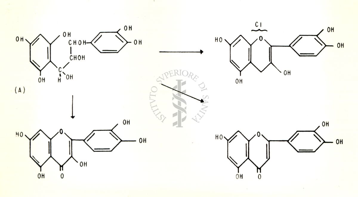 Chimica delle autoxantine