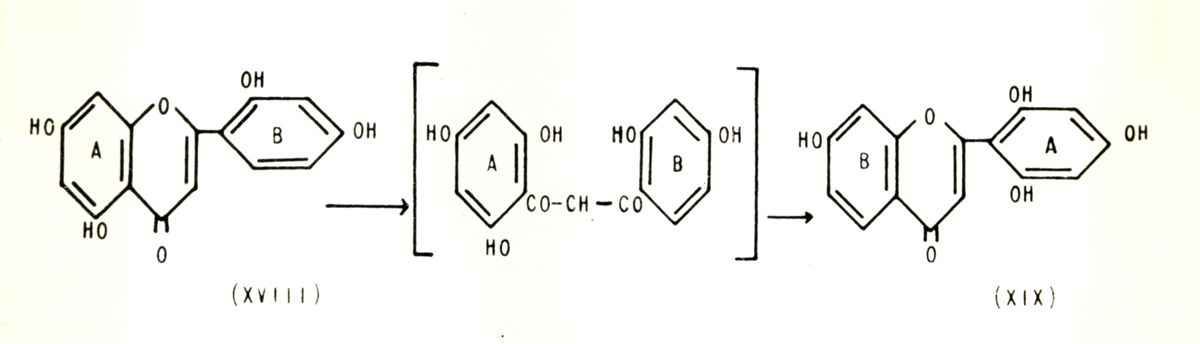 Chimica delle autoxantine