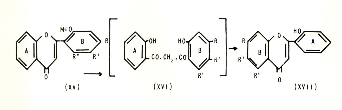 Chimica delle autoxantine