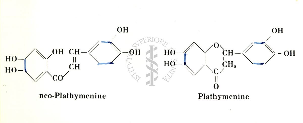 Chimica delle autoxantine