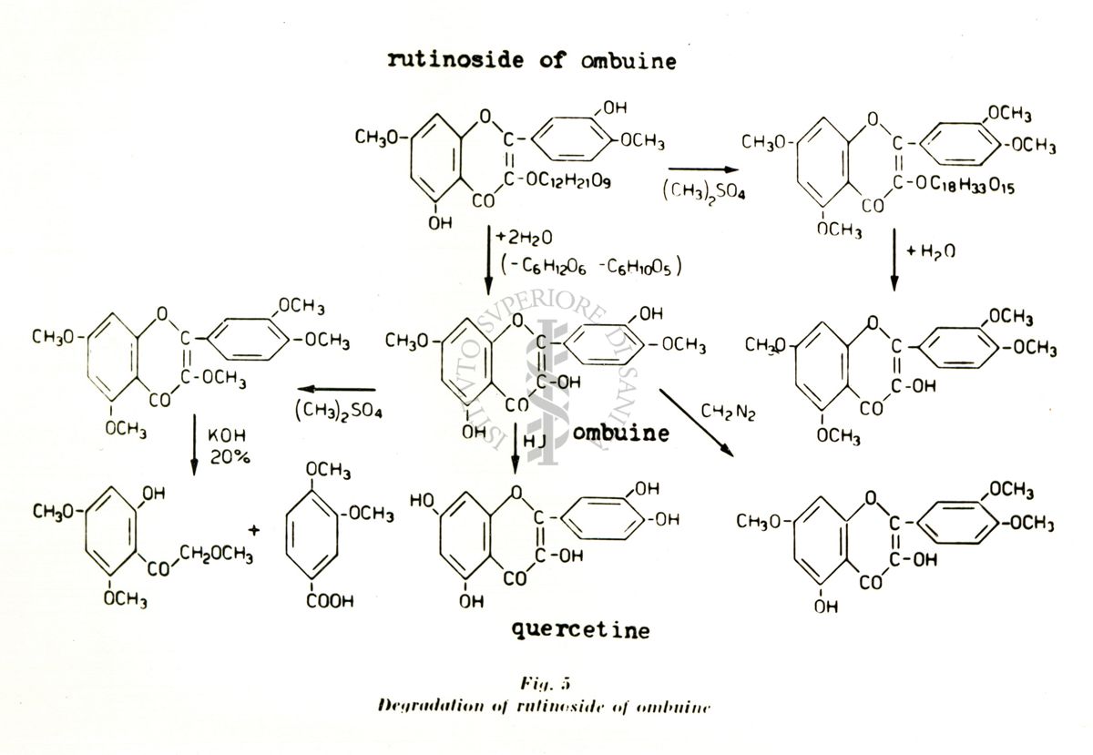 Chimica delle autoxantine