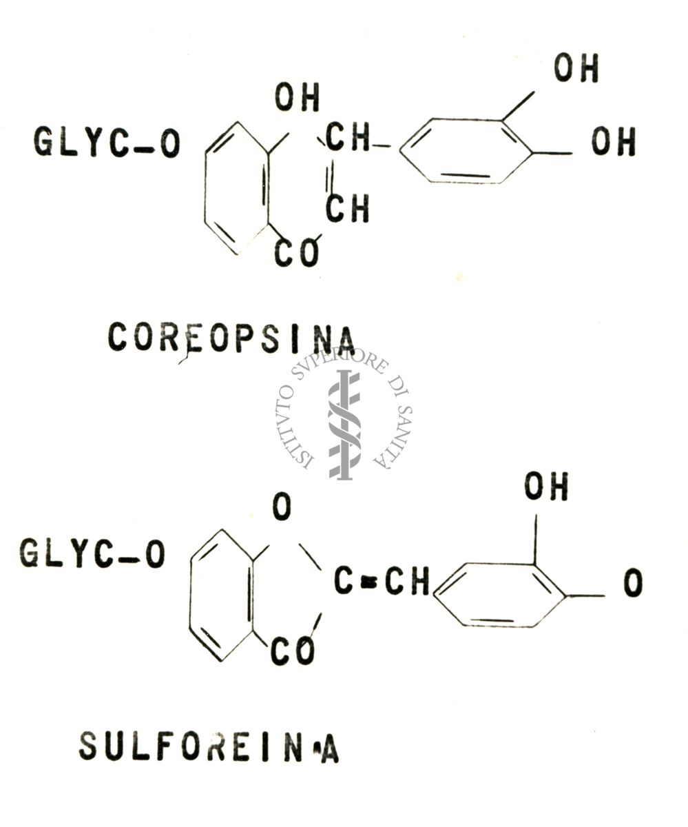 Chimica delle autoxantine