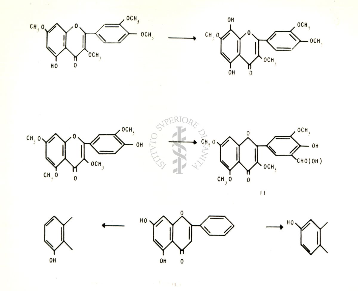 Chimica delle autoxantine