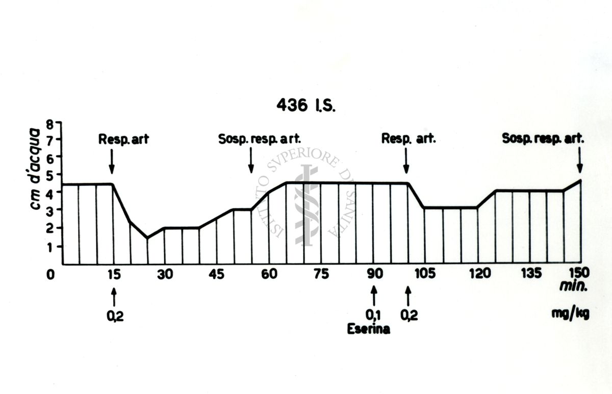 Grafico riguardante i curari di sintesi