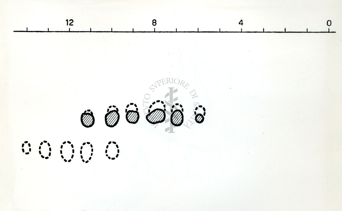 Cromatografia alcaloidi Strychnos