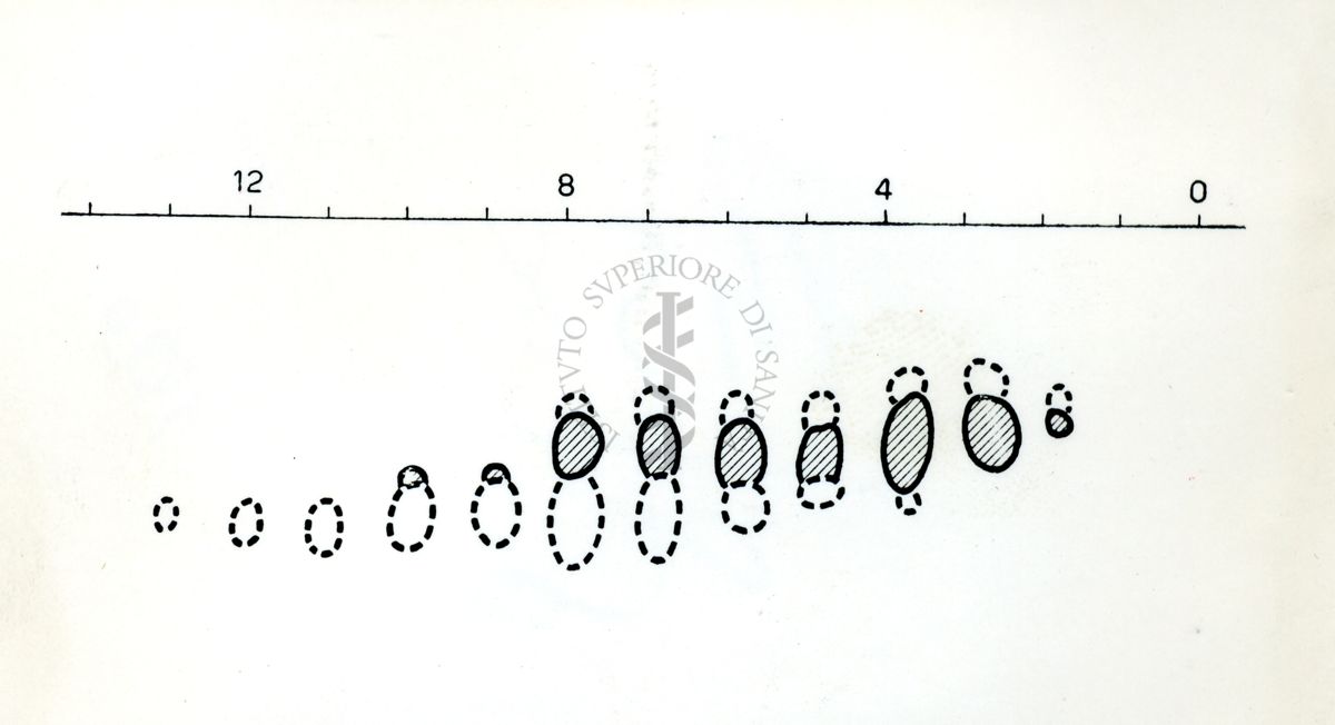 Cromatografia alcaloidi Strychnos