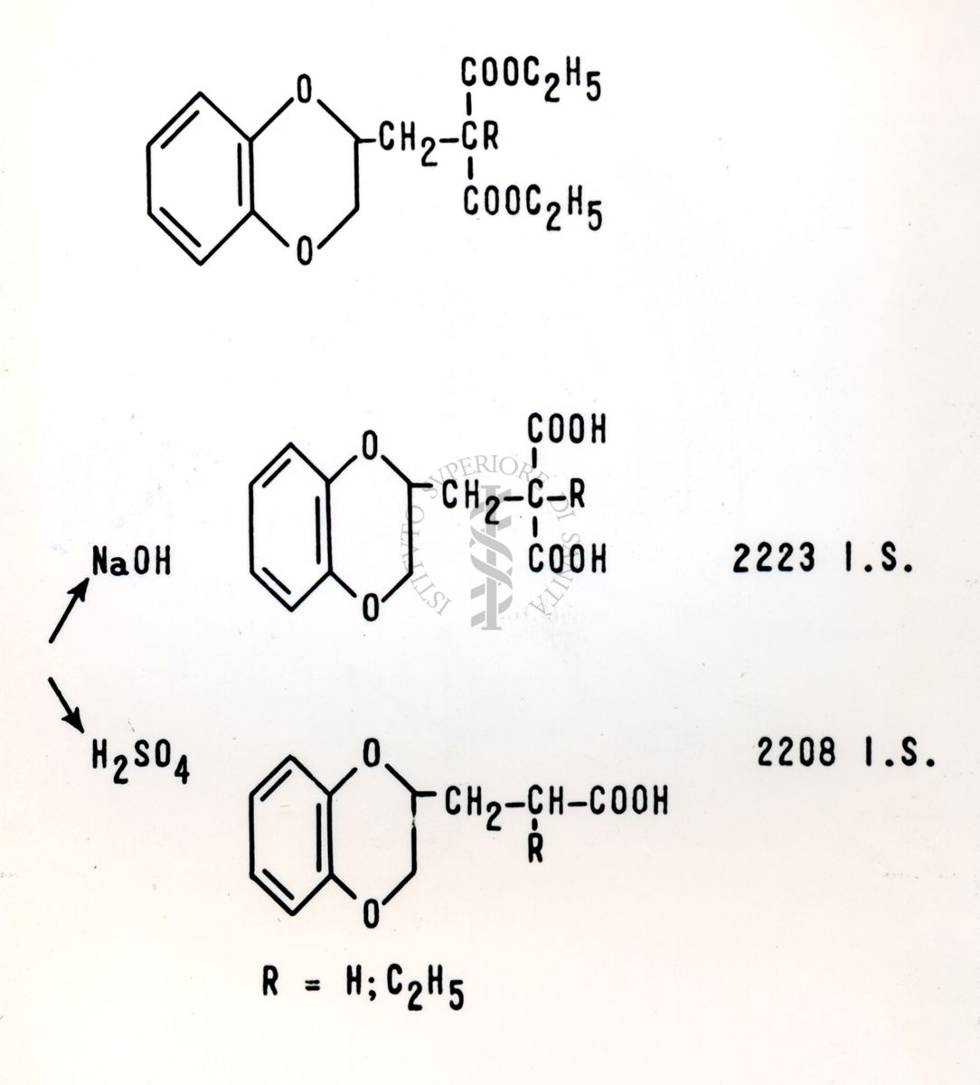 Derivati del 1-4 benzodiossano