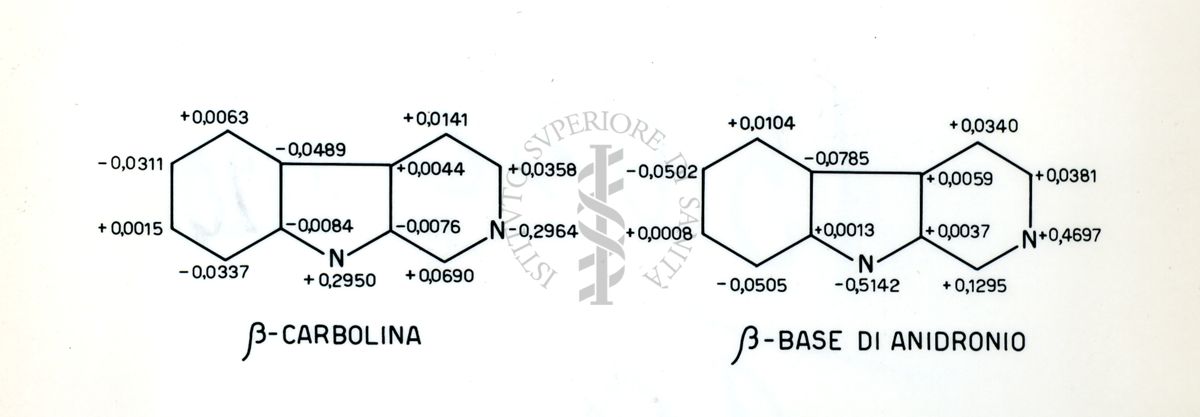 Lavoro sulla struttura delle basi di anidronio