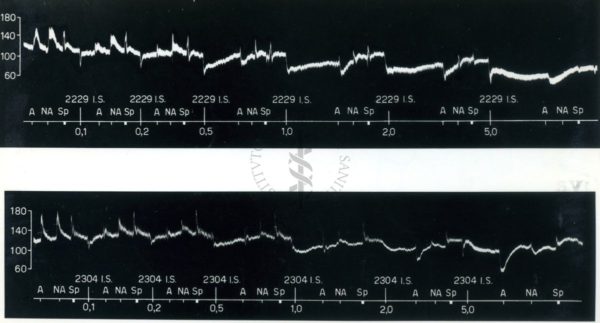 Grafici riguardanti l'attività dei derivati del benzodiossano