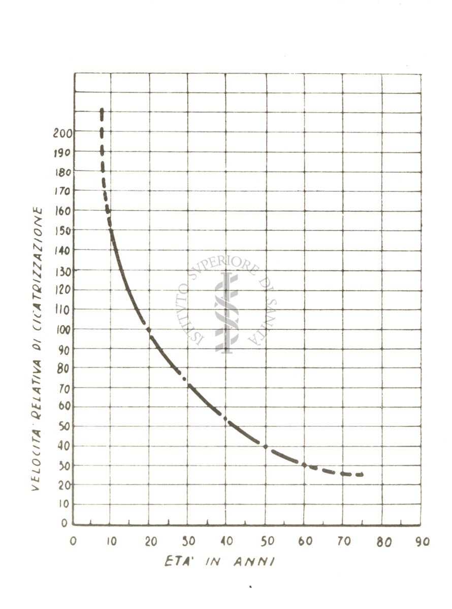 Fisiologia della senescenza