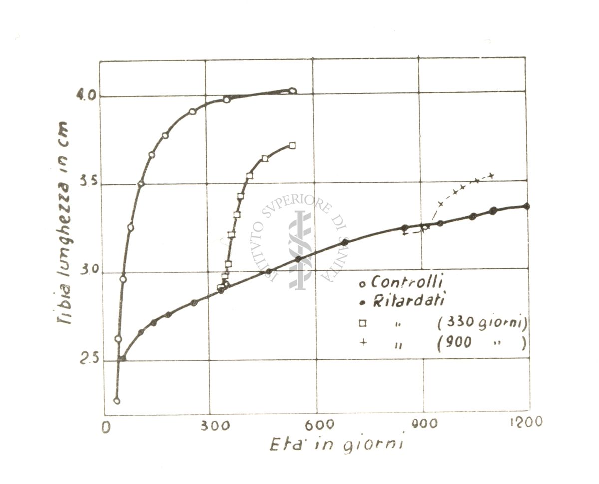 Fisiologia della senescenza