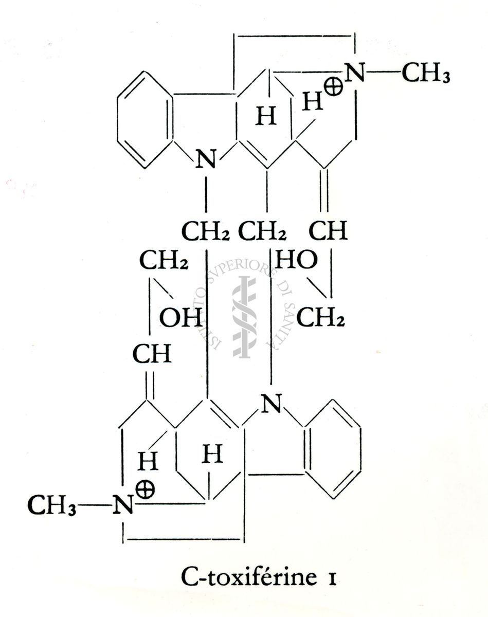 Farmacologia dei curari di sintesi