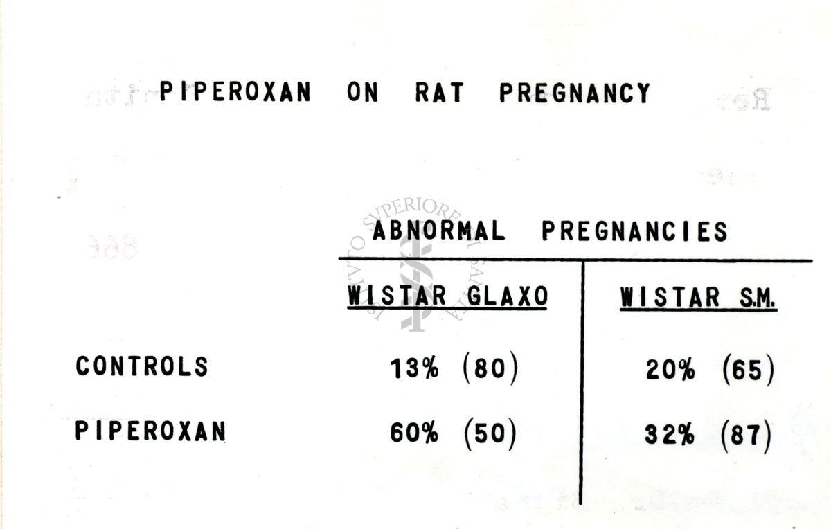 Azione del Piperozan (933 F) sulla gravidanza del ratto in due ceppi diversi di ratti Wistar