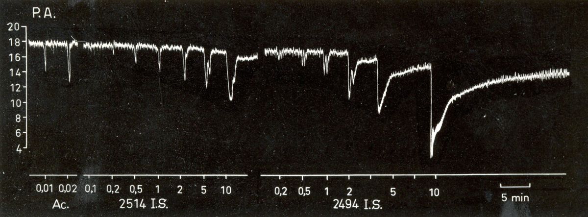 Effetto di alcuni initrini sulla pressione arteriosa del cane