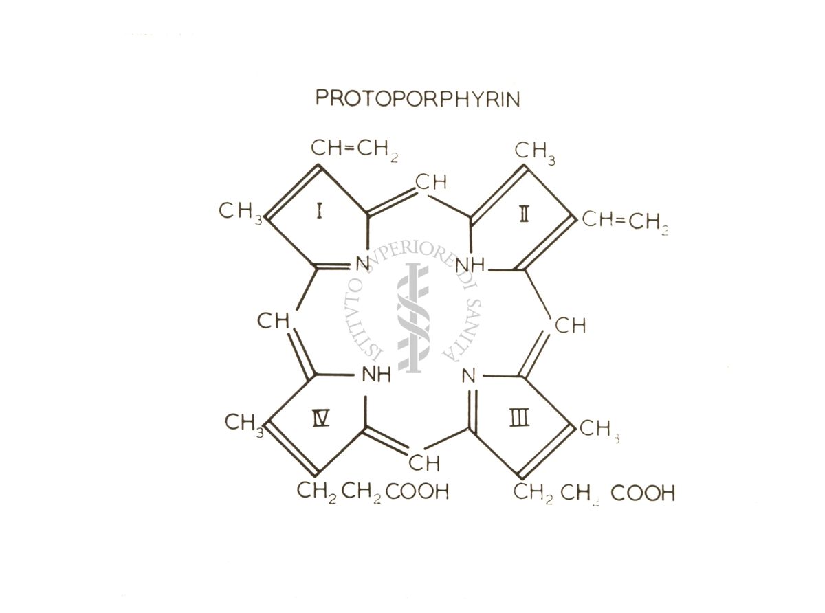 Immagine dei legami chimici della protoporfirina riferita alla conferenza tenuta dal Prof. Neuberger nell'Aula Magna dell'Istituto Superiore di Sanità