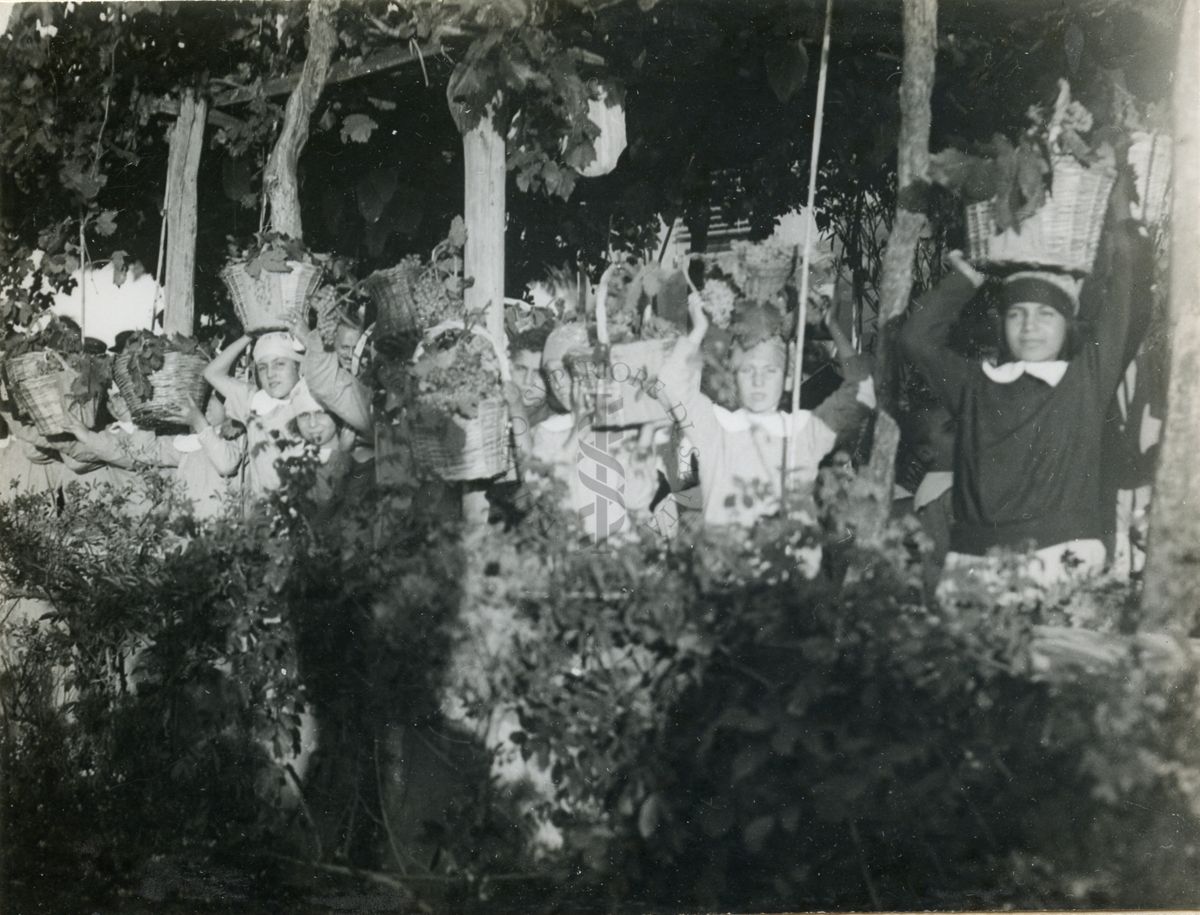 Bambini con ceste d'uva alla festa della vendemmia nella Colonia Antimalarica "Bartolomeo Gosio"