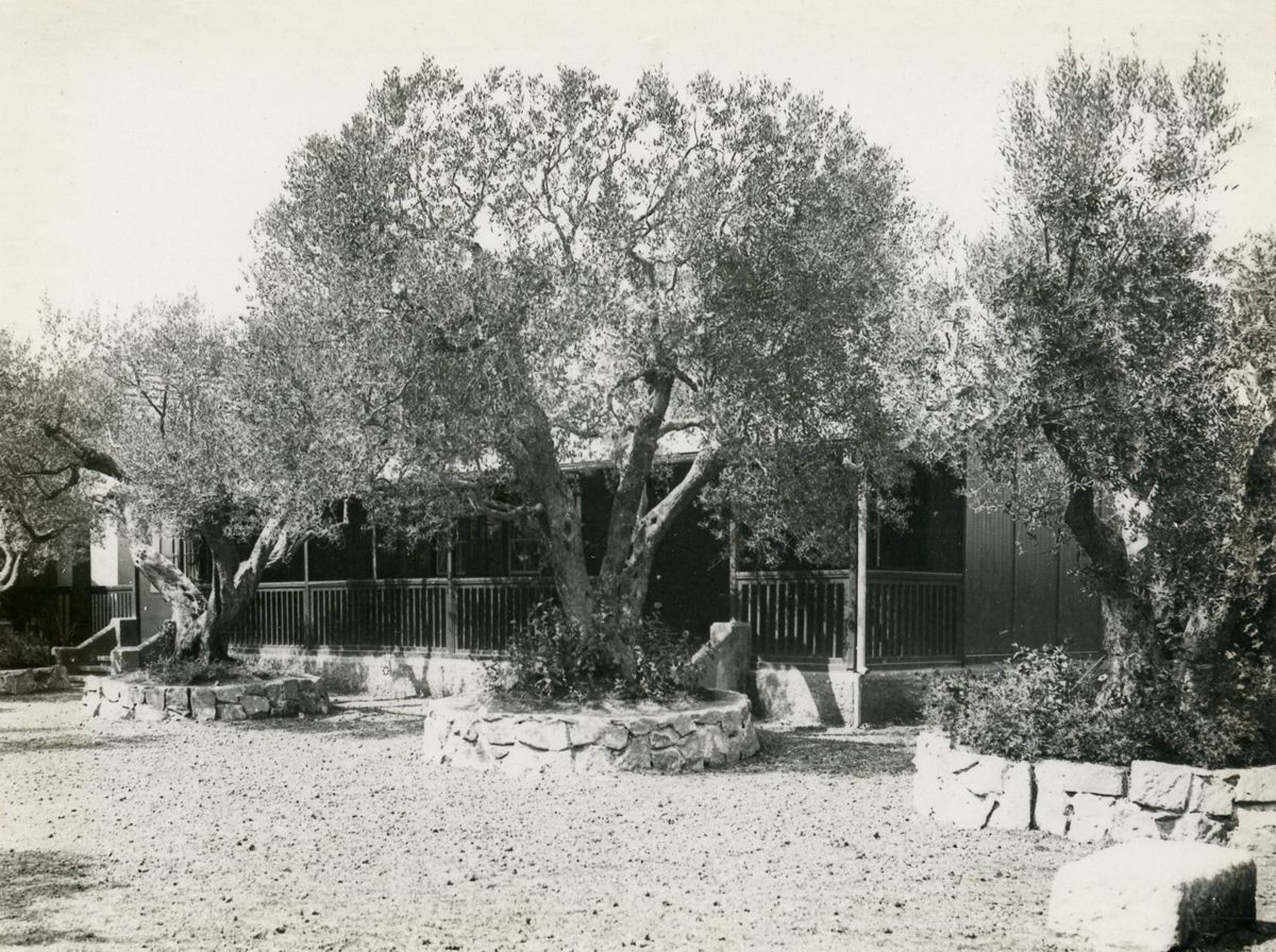 Terreno davanti al padiglione dormitorio del Sanatorio Antimalarico di Grottaferrata