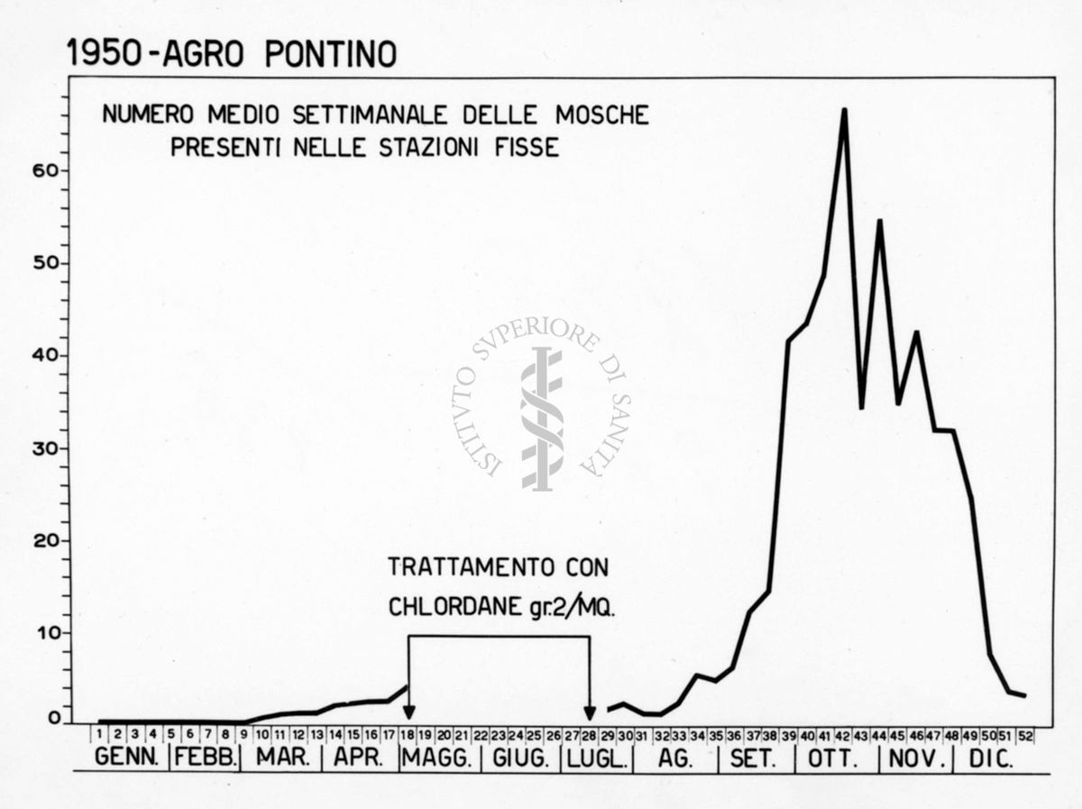 Diagramma riguardante il numero medio settimanale delle mosche presenti nelle stazioni fisse dell'Agro Pontino nel 1950