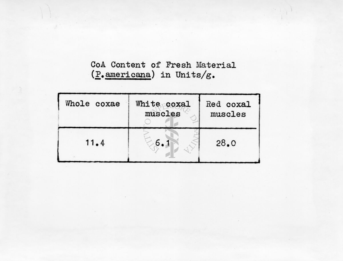 Tabella riguardante la concentrazione di Coenzima A (CoA) nel muscolo delle Coxae di Periplaneta di una Blatta americana