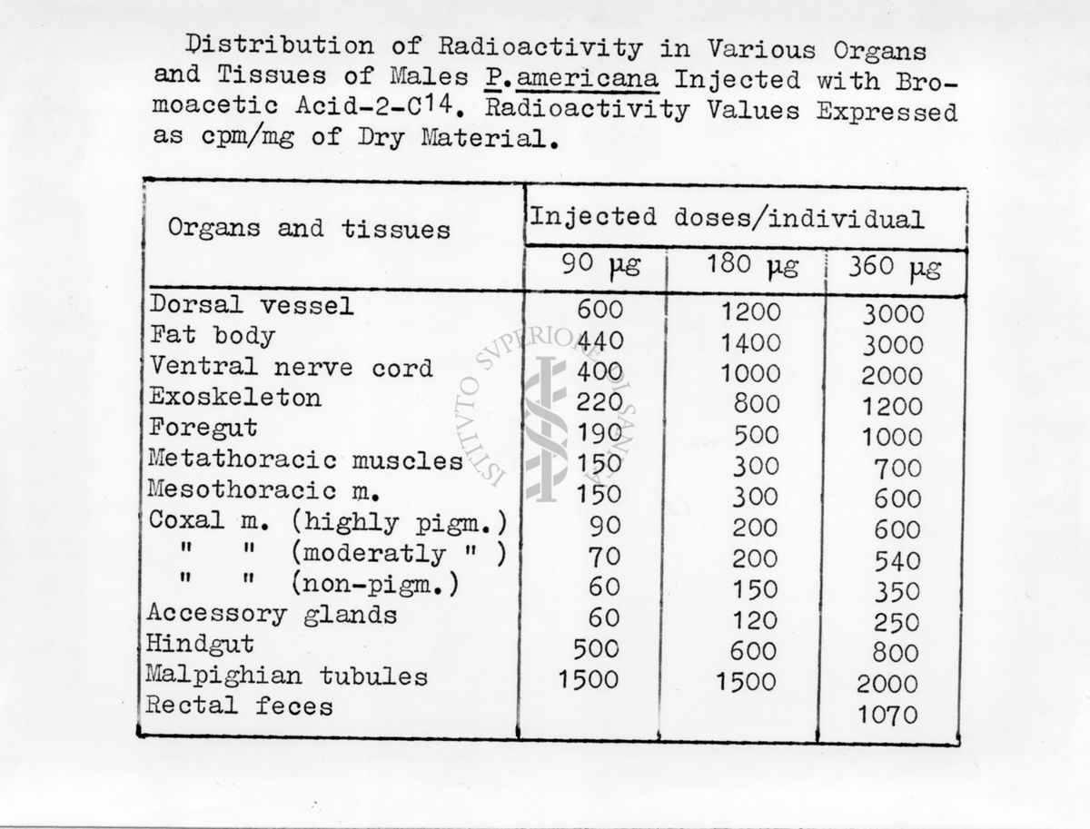 Distribuzione della radioattività nei vari organi e tessuti di Periplaneta inoculata con Acido Bromoacetico - 2 - C. 14.