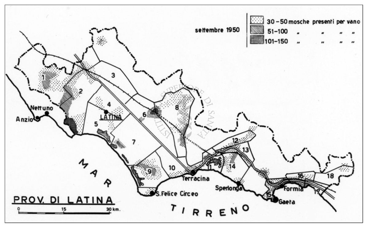 Cartogramma della zona di Latina riguardante le quantità di mosche resistenti al DDT nel settembre 1950