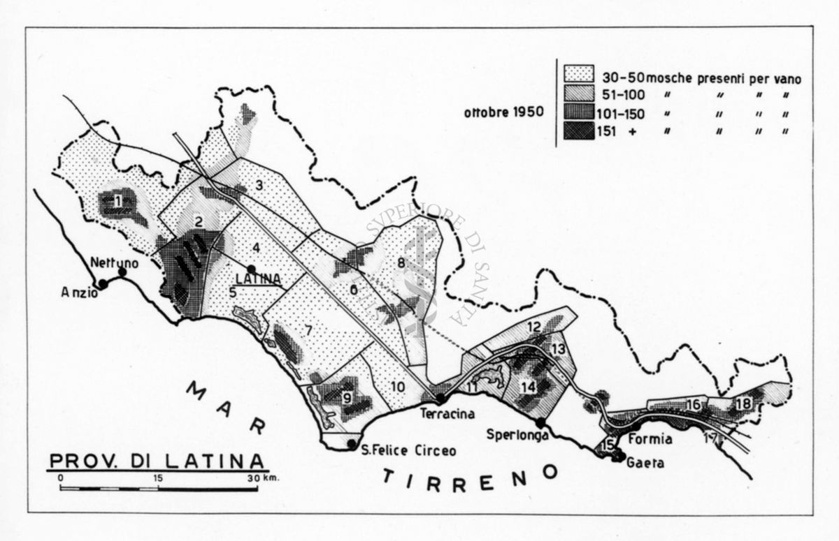 Cartogramma della zona di Latina riguardante le quantità di mosche resistenti al DDT nel ottobre 1950