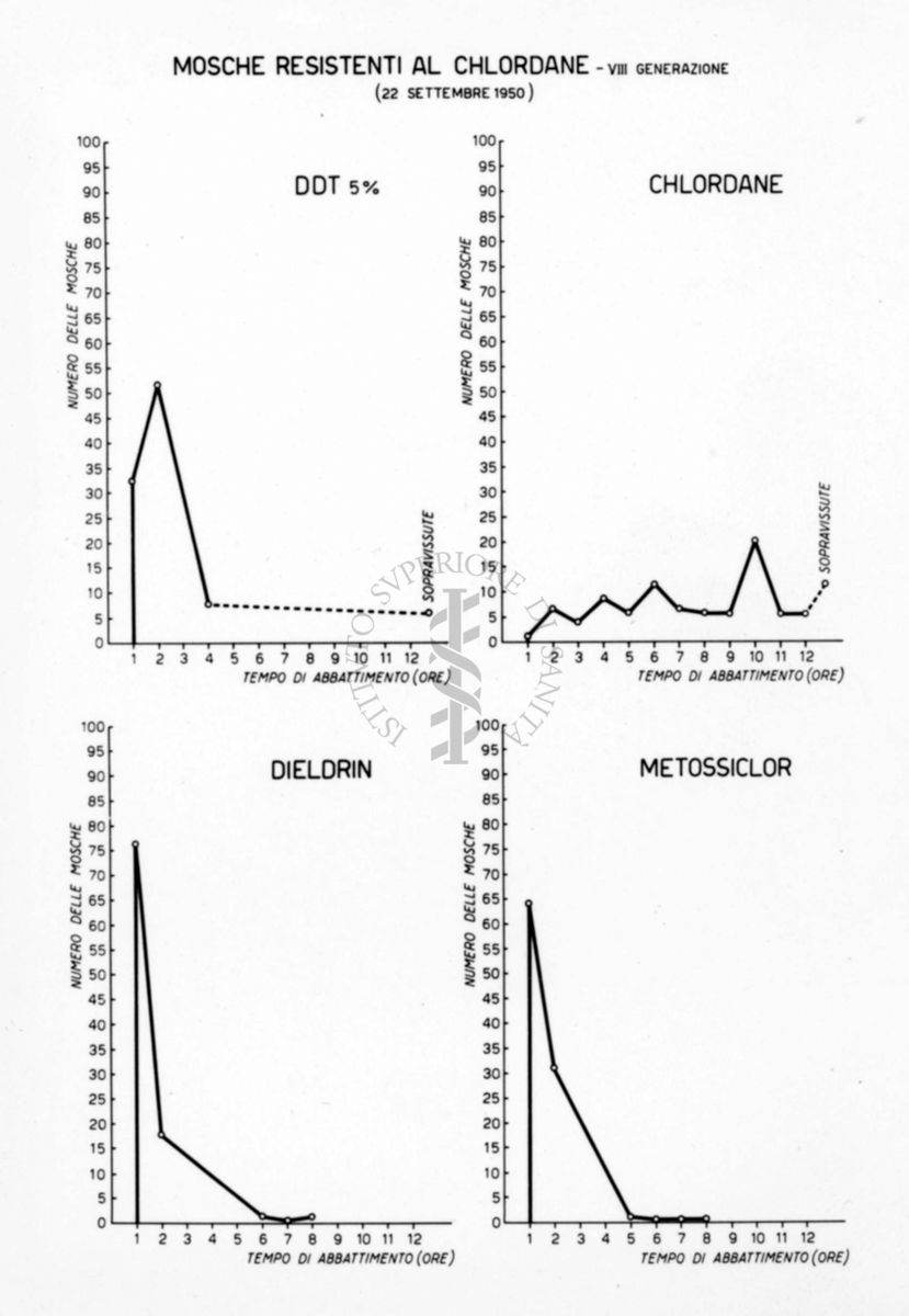 Diagrammi comparativi riguardanti la resistenza delle mosche al Chlordane (VII generazione) al DDT 5%, al Dieldrin e al Metossiclor il 22 settembre 1950
