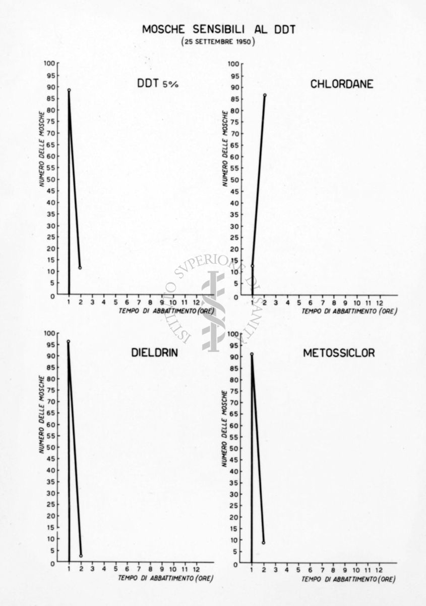 Diagrammi comparativi riguardanti la sensibilità delle mosche al DDT 5%, al Chlordane, al Dieldrin e al Metossiclor il 25 settembre 1950