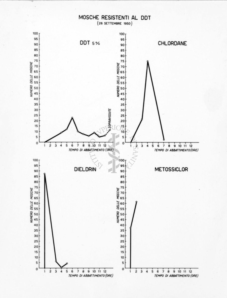 Diagrammi comparativi riguardanti la resistenza delle mosche al DDT 5%, al Chlordane, al Dieldrin e al Metossiclor il 26 settembre 1950