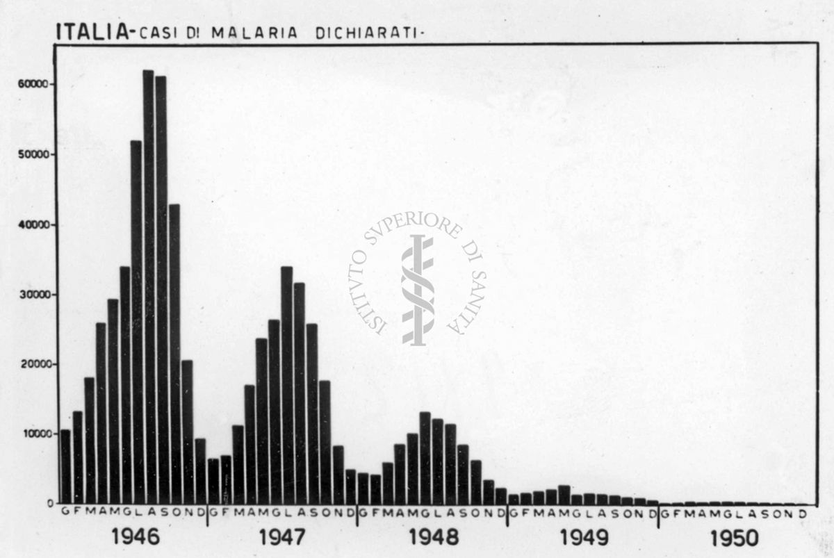 Diagramma riguardante i casi di Malaria dichiarati in Italia dal 1946 al 1950