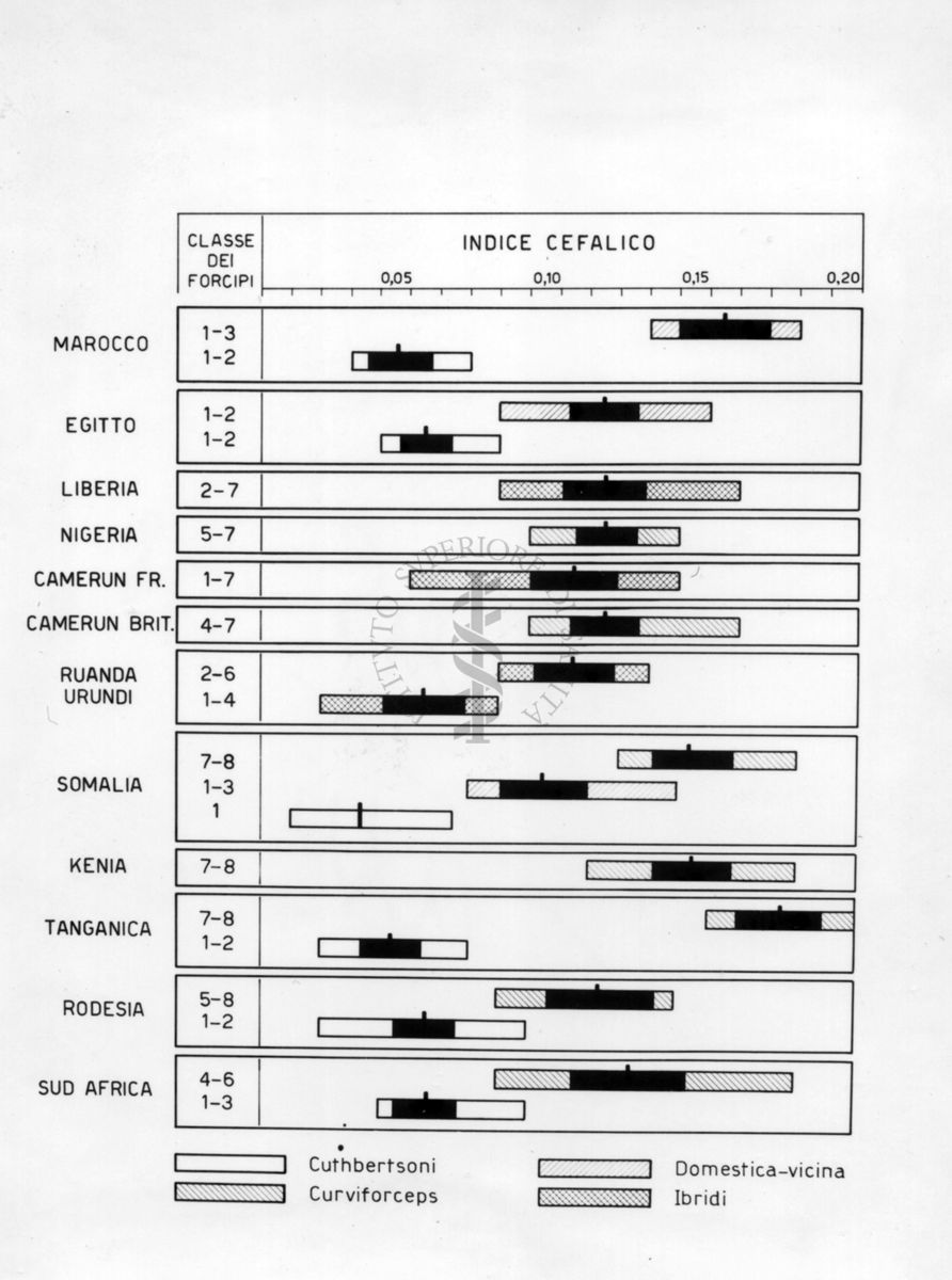 Distribuzione delle subspecie di Musca Domestica