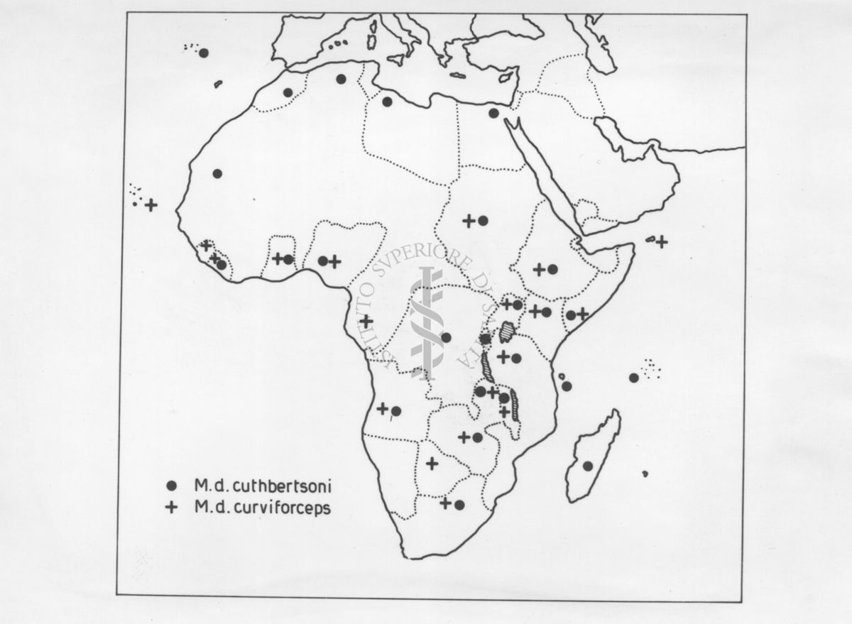 Distribuzione delle subspecie di Musca Domestica