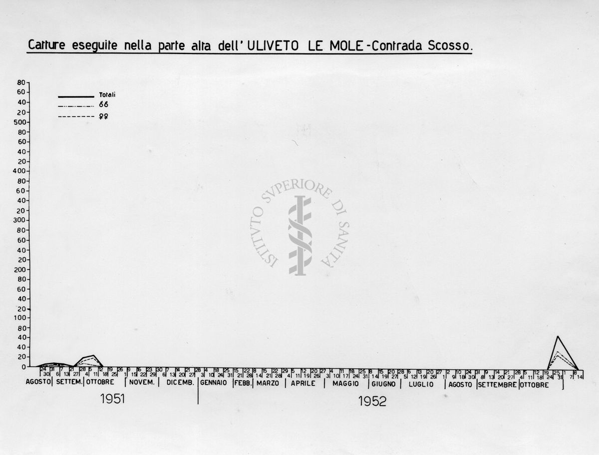 Diagramma relativo le catture nella parte alta dell' "Uliveto le Mole" Contrada Scosso nel periodo da agosto 1951 a ottobre 1952