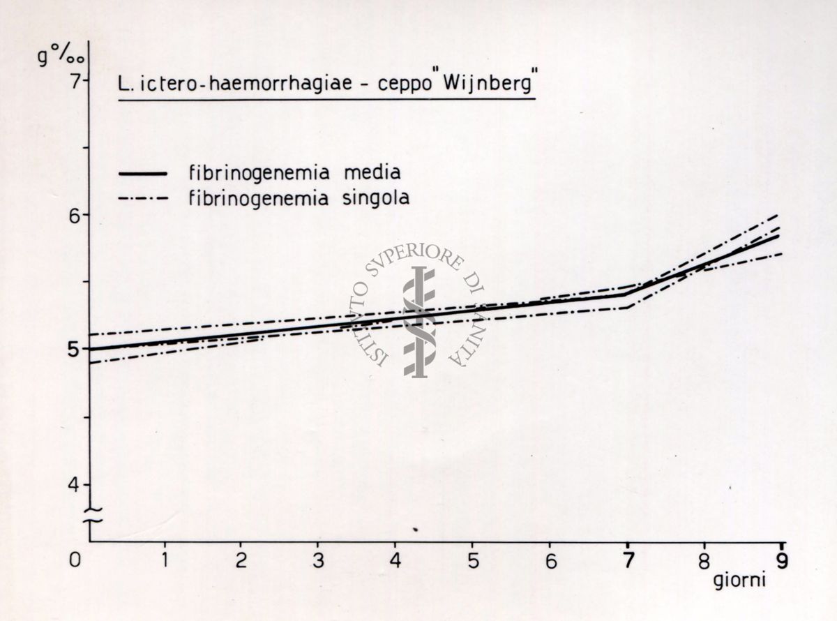 Comportamento del tasso fibrinogenemico in animali infettati con leptospirosi.