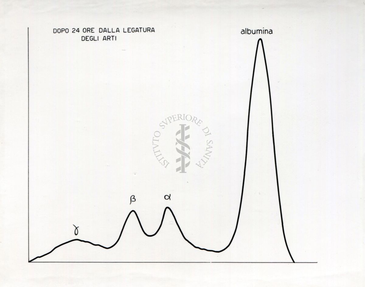 Curve riguardanti il comportamento delle sieroproteine negli animali sottoposti a stress sperimentale.