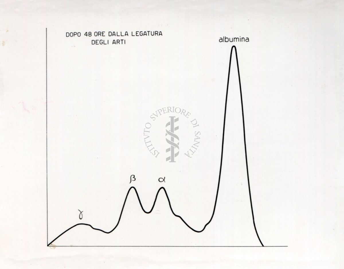 Curve riguardanti il comportamento delle sieroproteine negli animali sottoposti a stress sperimentale.