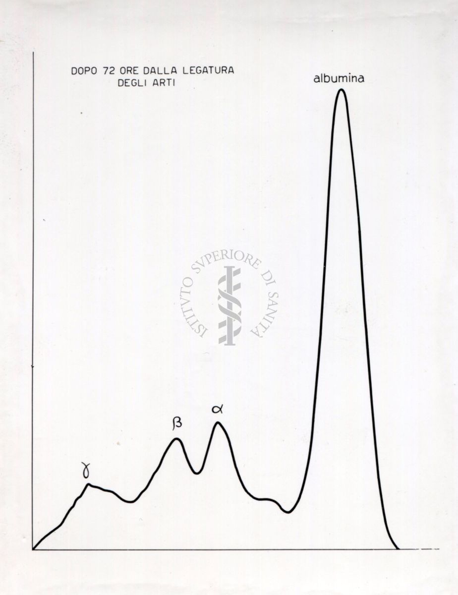 Curve riguardanti il comportamento delle sieroproteine negli animali sottoposti a stress sperimentale.