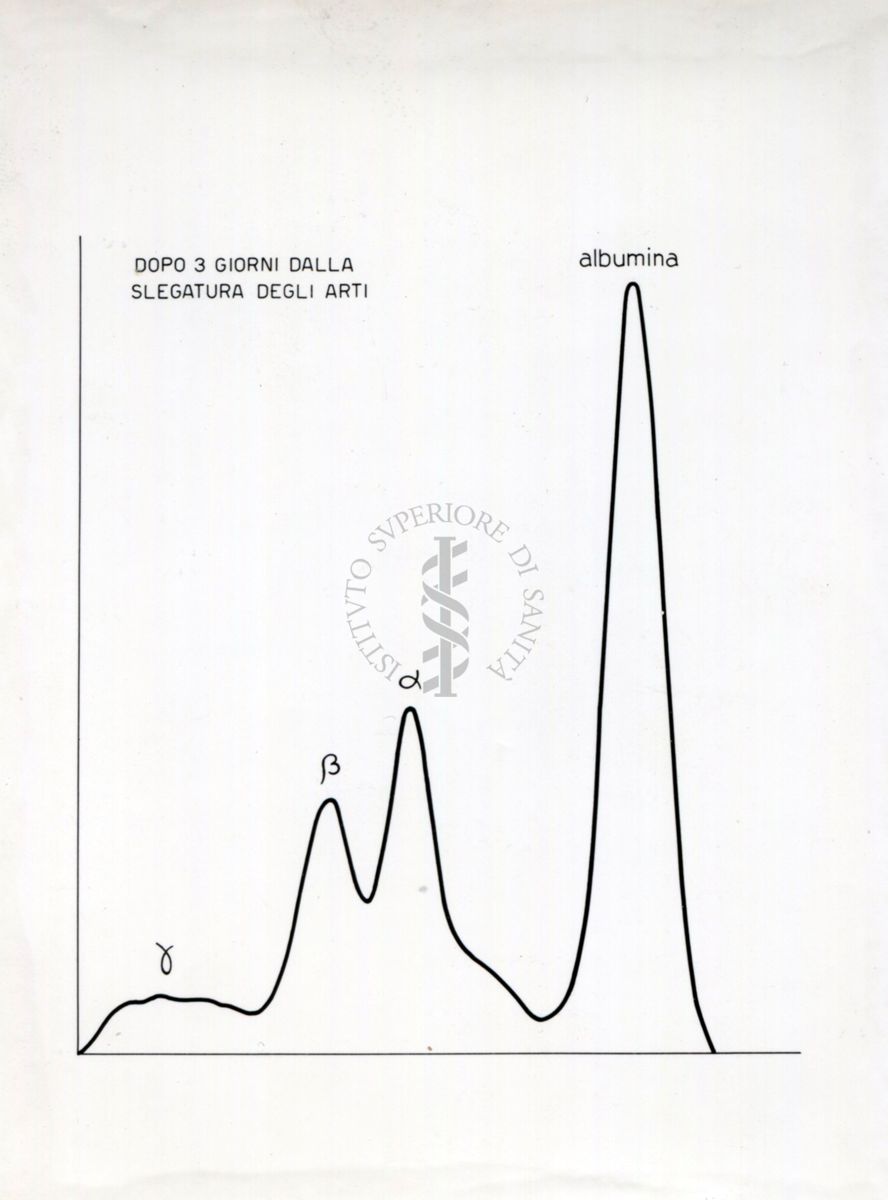 Curve riguardanti il comportamento delle sieroproteine negli animali sottoposti a stress sperimentale.