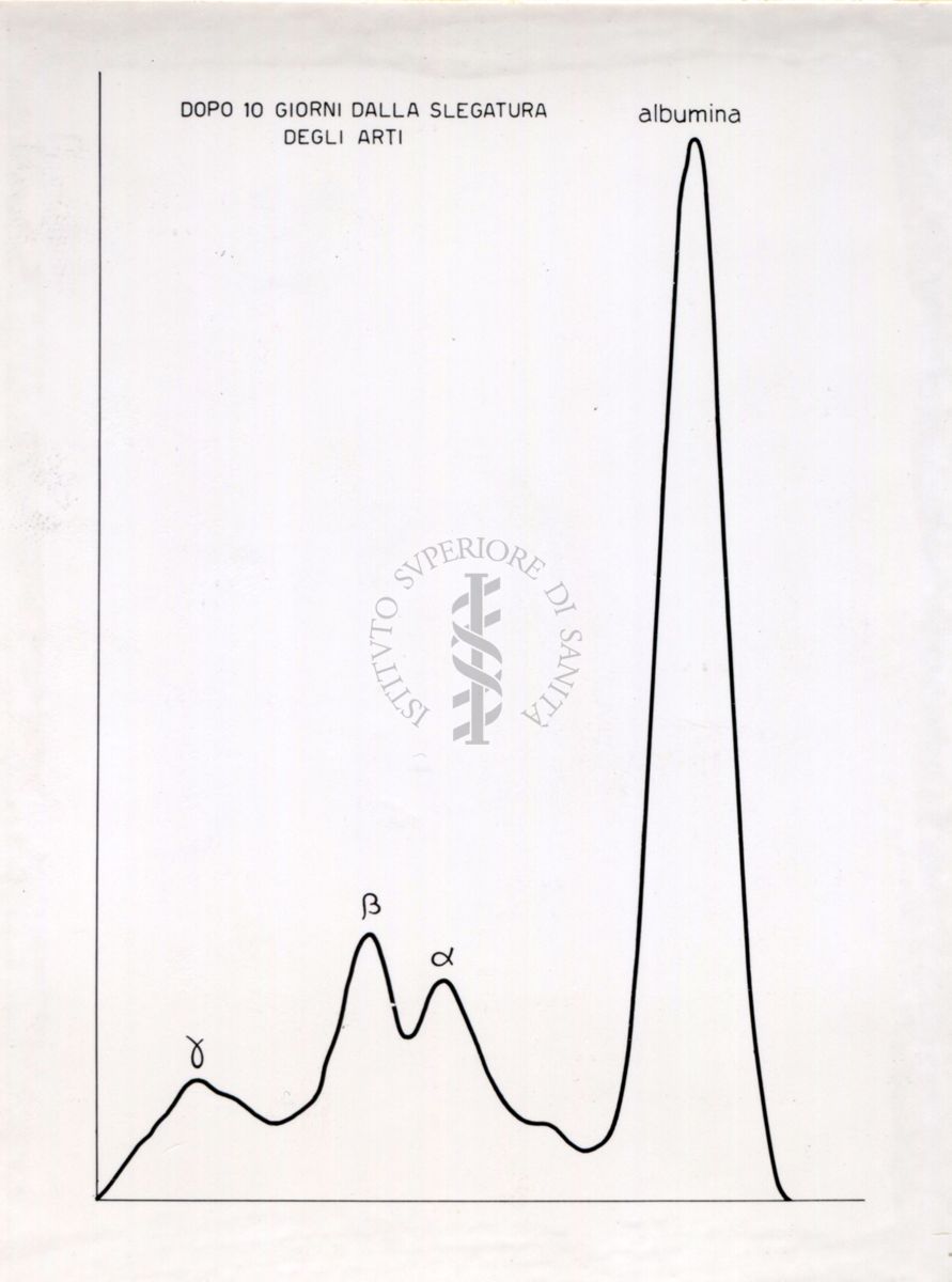 Curve riguardanti il comportamento delle sieroproteine negli animali sottoposti a stress sperimentale.