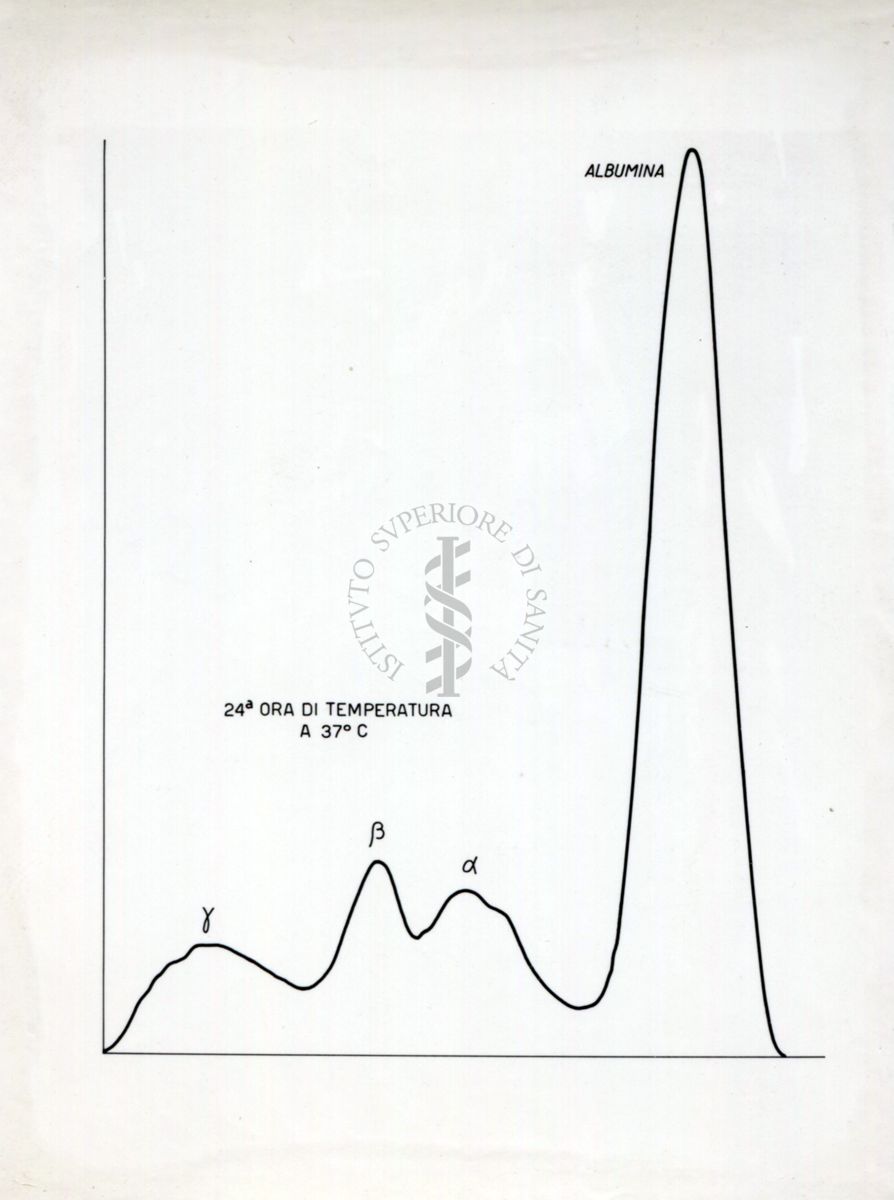 Grafico riguardante l'agglutinazione con siero attivo e siero non attivo