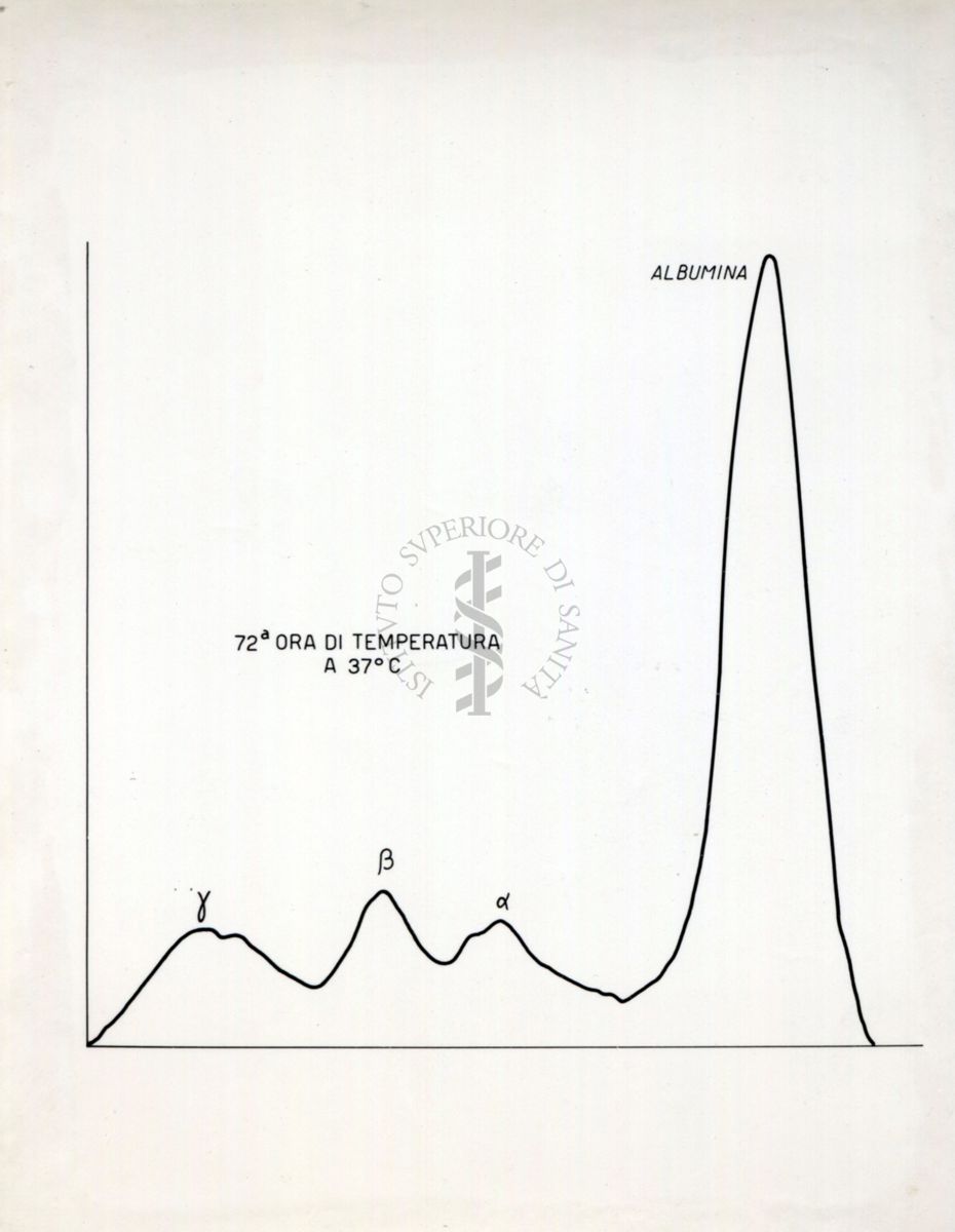 Grafico riguardante l'agglutinazione con siero attivo e siero non attivo