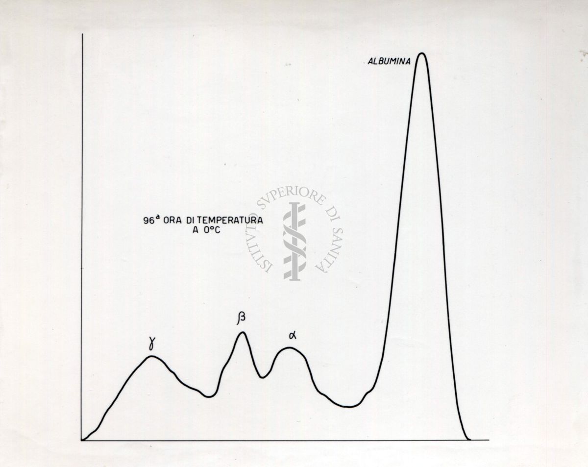 Grafico riguardante l'agglutinazione con siero attivo e siero non attivo