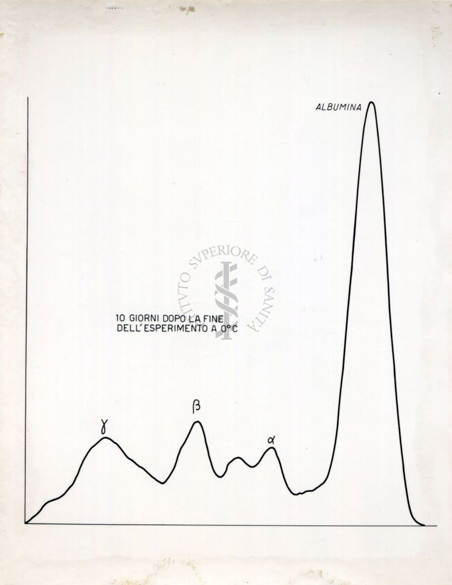 Grafico riguardante l'agglutinazione con siero attivo e siero non attivo