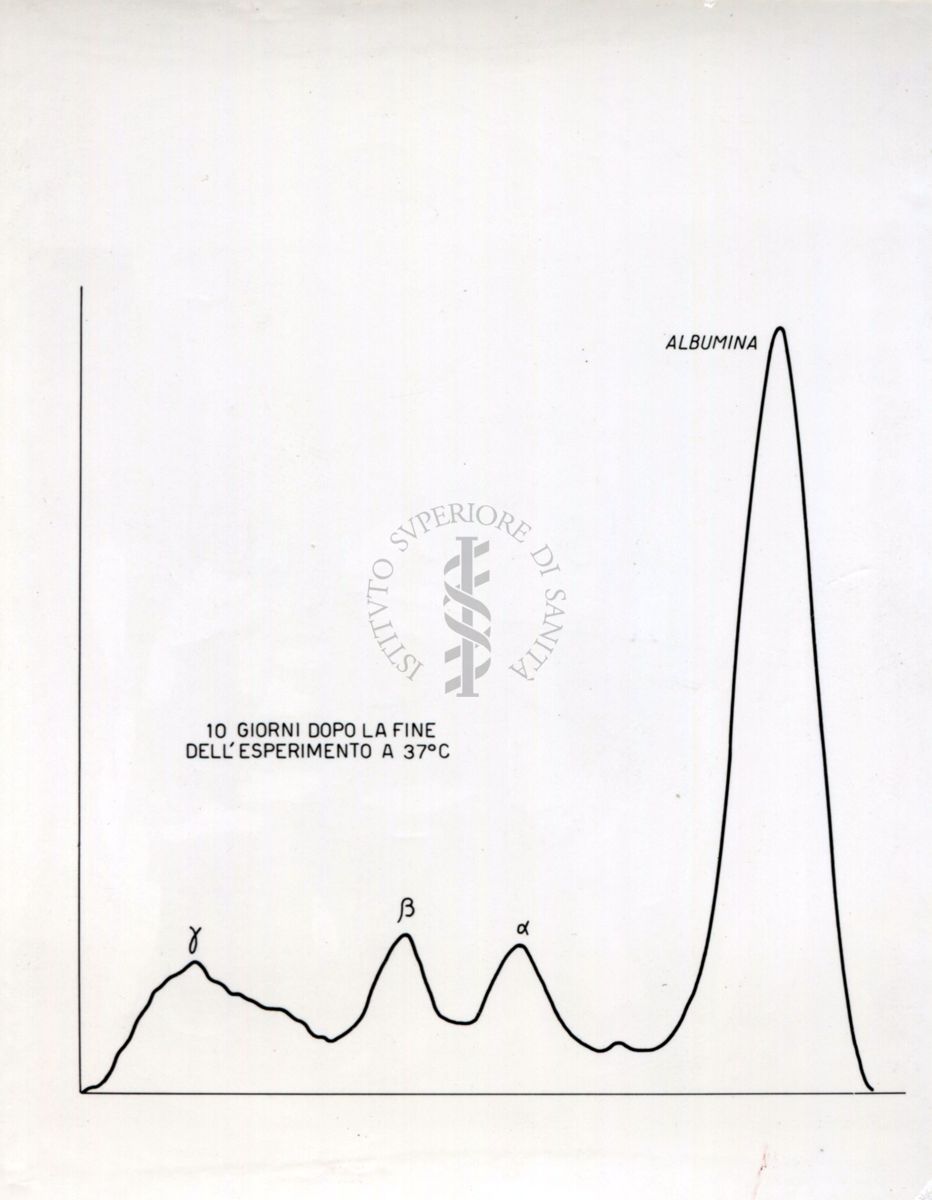 Grafico riguardante l'agglutinazione con siero attivo e siero non attivo