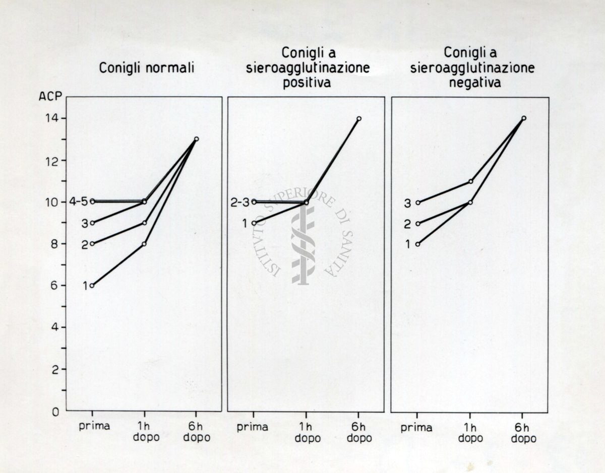 Grafico riguardante l'influenza del cortisone e dell'ACTH  nella infezione da leptospire