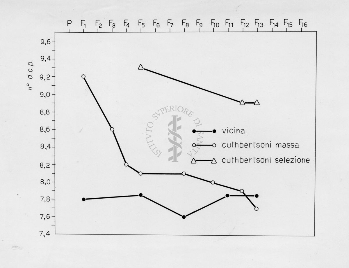 Grafico riguardante l'evoluzione di musca domestca cuthbertsoni in laboratorio