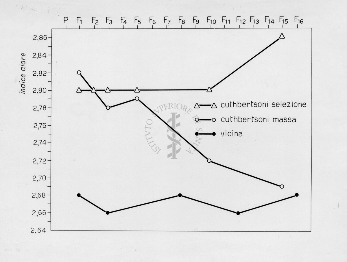 Grafico riguardante l'evoluzione di musca domestca cuthbertsoni in laboratorio