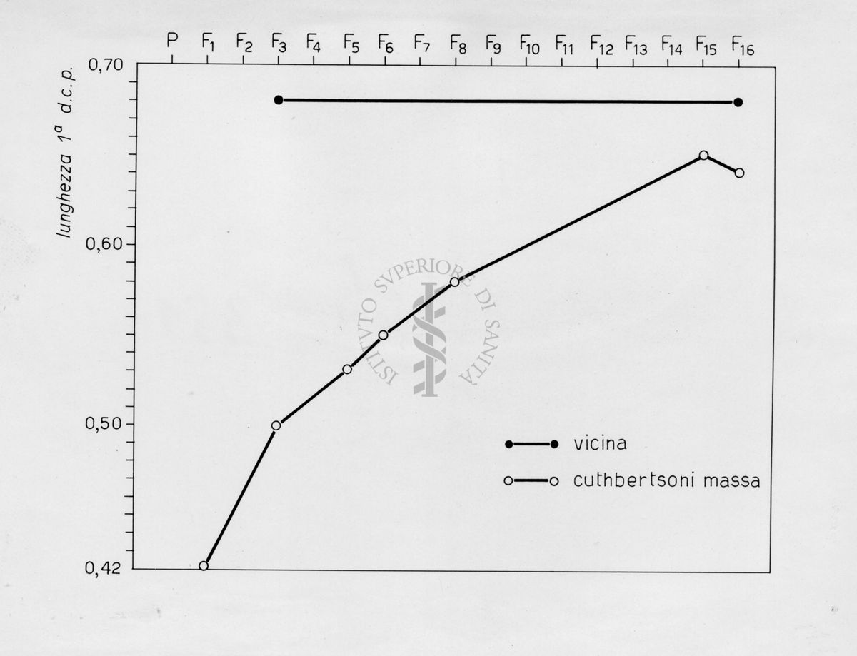 Grafico riguardante l'evoluzione di musca domestca cuthbertsoni in laboratorio